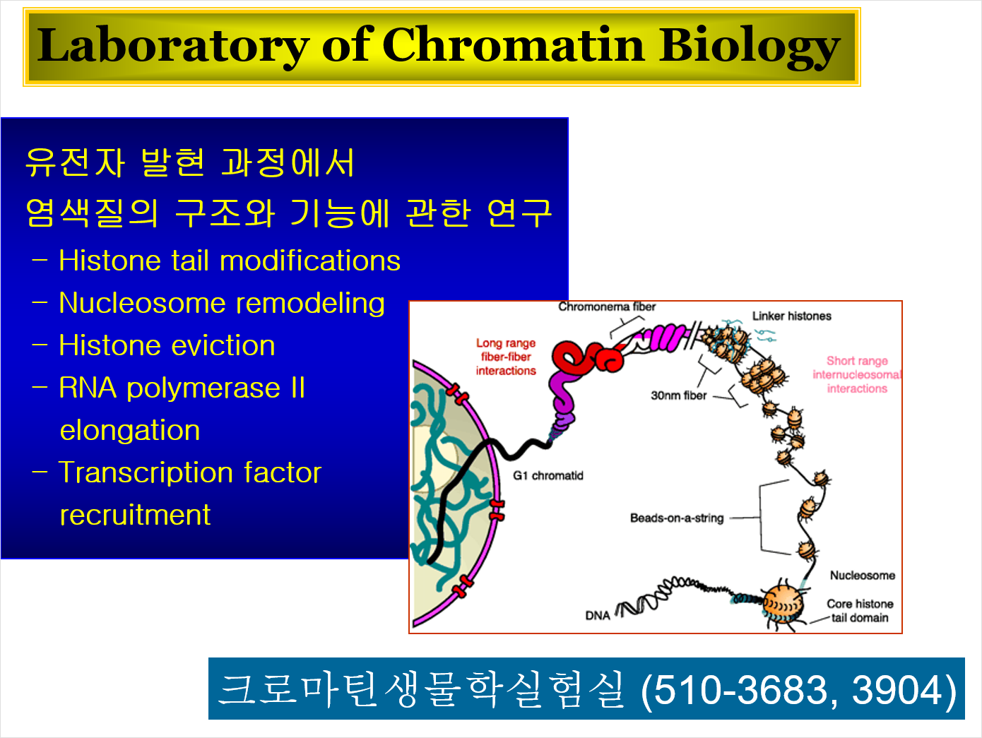 크로마틴생물학실