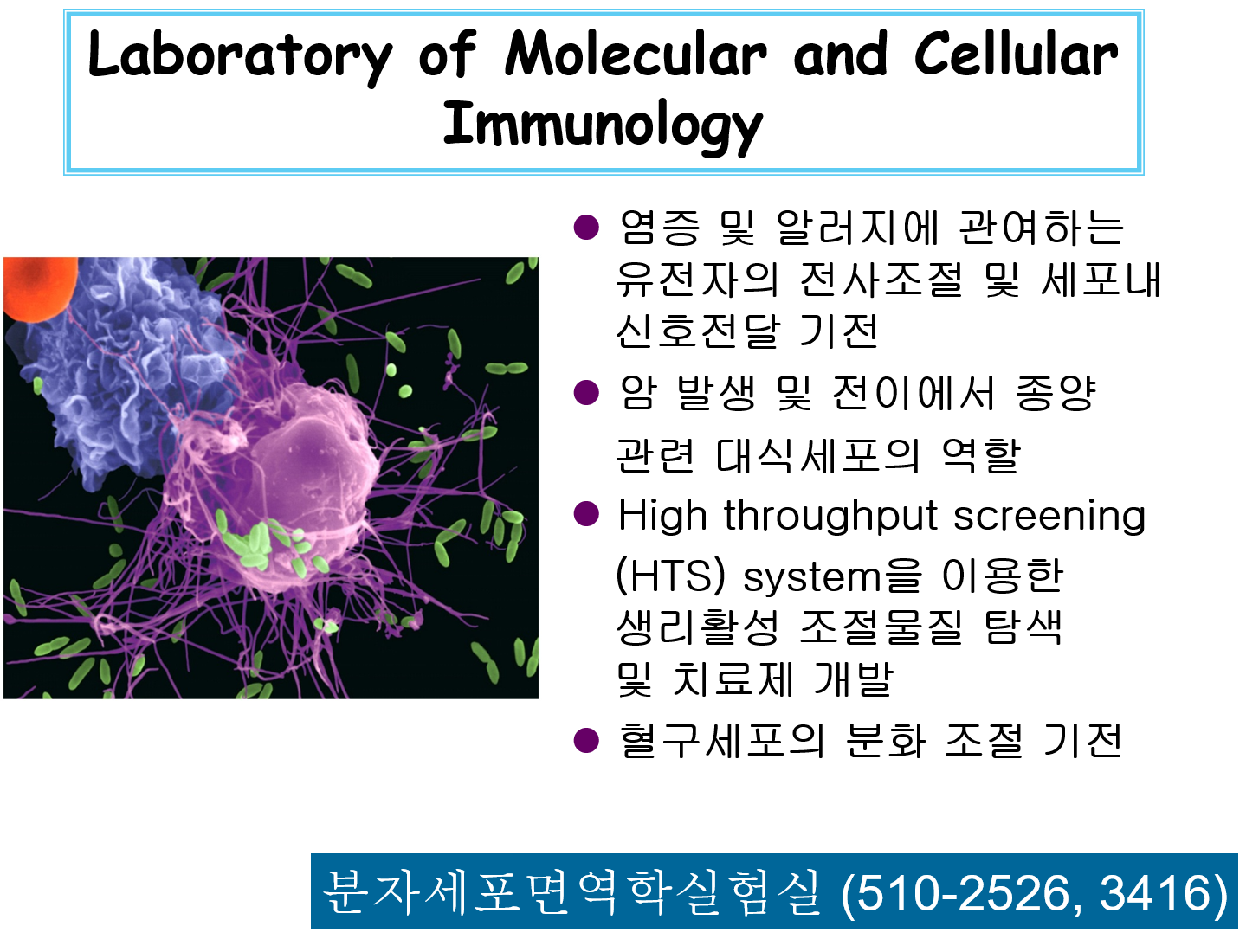 분자세포면역학실