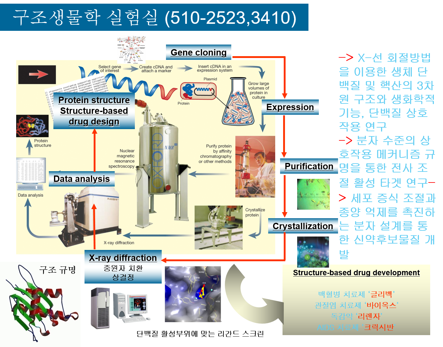 구조생물학실